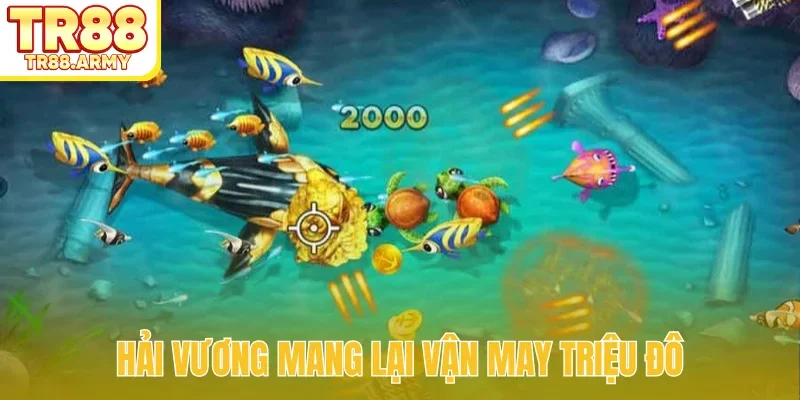 Hải Vương mang lại vận may triệu đô